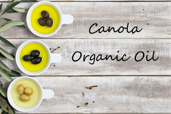 Organic - Specialty Oil - Canola Oil, Non GMO - Cibaria Store Supply